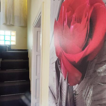 Casa De Sus Villa Брашов Екстериор снимка